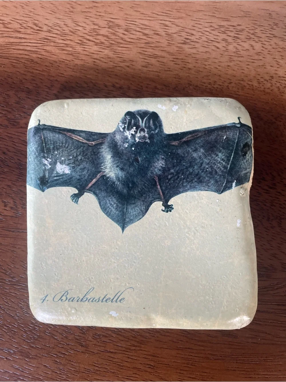 Set of 4 Cream Bat Illustration Coasters – Decorative Stone Drink Coasters